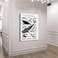 kerneLight Shark Wall Art Animals Pictures Chondrichthyes Guide Poster Knowledge Prints Animals Fish Canvas Chart Poster Room Aesthetic for Home Classroom Office Bathroom Wall Decor 12x18in Frameless