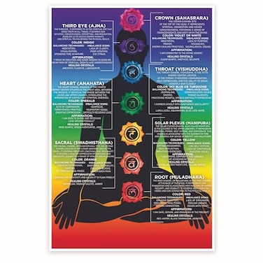 Bliss Monkey Co. Bliss Monkey Co Chakra Definitions Poster Chakra Infographic Chart Spiritual Positive Healing Wall Art 12 x 18 Inch Poster Unframed Premium 100lb Gloss Made In USA BMCP084