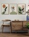 PHOPAGO Boho Plant Wall Art Green Botanical Bohemain Framed Wall Printing 11x14in Abstract Canvas Prints with Leaf Sun Lines Natural Framed