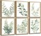 Induslyfe Framed Eucalyptus Sage Green Botanical Plant Wall Art Canvas Decor Set of 6 Leaves Prints Posters Flower Wall Art for Bathroom Bedroom Living Room 9x12