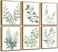 Induslyfe Framed Eucalyptus Sage Green Botanical Plant Wall Art Canvas Decor Set of 6 Leaves Prints Posters Flower Wall Art for Bathroom Bedroom Living Room 9x12