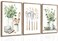 CCZ Boho Farmhouse Kitchen Wall Art Sage Green Plants Painting Pictures Dining Room Wall Decor Eucalyptus Leaves Green Botanical Poster Print Artwork for Farmhouse Kitchen Home Decor Unframed