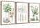 CCZ Boho Farmhouse Kitchen Wall Art Sage Green Plants Painting Pictures Dining Room Wall Decor Eucalyptus Leaves Green Botanical Poster Print Artwork for Farmhouse Kitchen Home Decor Unframed