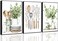 JJX 3 Pcs Sage Green Farmhouse Kitchen Canvas Wall Art Minimalist Dining Room Eucalyptus leaves plant Painting Pictures Wall Decor Poster Print Artwork For Dining Room kitchen Home Decoration Unframed