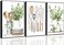 JJX 3 Pcs Sage Green Farmhouse Kitchen Canvas Wall Art Minimalist Dining Room Eucalyptus leaves plant Painting Pictures Wall Decor Poster Print Artwork For Dining Room kitchen Home Decoration Unframed