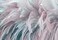 Bormia Colorful 3D Wall Mural Feathers Wallpaper for Living Room Badroom Wallpaper Home Art Wall Decals