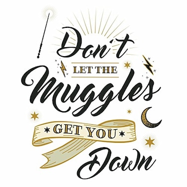 RoomMates RMK3608GM Harry Potter Muggles Quote Peel and Stick Giant Wall Decals