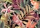 Reyhui Banana Leaf Large Wallpaper Tropical Flower Wall Mural for Living Room Bedroom Dining RoomNot SelfAdhesive