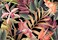 Reyhui Banana Leaf Large Wallpaper Tropical Flower Wall Mural for Living Room Bedroom Dining RoomNot SelfAdhesive