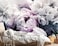 Reyhui Floral Wallpaper Mural Large Rose Flowers Mural for Bedroom Living Room Wall not selfAdhesive
