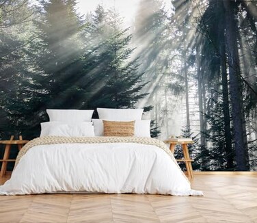 Toolhom Silk Cloth Wall Sticker Decoration Forest in The Fog Mural203 NonselfAdhesive Waterproof Wall