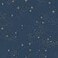 RoomMates RMK11319WP Upon A Star Navy and Metallic Peel and Stick Wallpaper