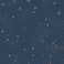 RoomMates RMK11319WP Upon A Star Navy and Metallic Peel and Stick Wallpaper