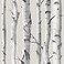 NuWallpaper Birch Tree Peel and Stick Wallpaper Removable Wallpaper 205 in x 18 ft