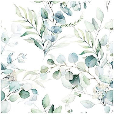 HAOKHOME Peel and Stick Wallpaper Boho GreenWhite Eucalyptus Leaf Floral Wall Mural Home Nursery Decor Renter Friendly Wallpaper 173in x 787in