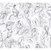RoomMates York Wallcoverings Barely There BlackWhite Pearl Wallpaper