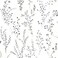 York Wallcoverings FH4026 Wildflower Sprigs Wallpaper BlackWhite