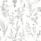 York Wallcoverings FH4026 Wildflower Sprigs Wallpaper BlackWhite