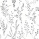 York Wallcoverings FH4026 Wildflower Sprigs Wallpaper BlackWhite