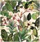 Luvdecor Peel and Stick Wallpaper Boho Palm Leaf Tropical Floral Wallpaper for Bathroom Removable Wallpapers for Renter Leaf Botanic Contact Paper for Cabinet Accent Wall 175 x 118 in