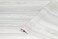d-c-fix dcfix Decorative SelfAdhesive Film Sangallo Light Grey 17 x 78 Roll