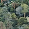 MuralPeel Green Forest Summer Trees River Landscape Peel and Stick Wallpaper Vintage Easy Peel Off Contact Paper Self Adhesive Removable Stick on Wall Paper for Kitchen Cabinet Renter Friendly