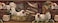 CONCORD WALLCOVERINGS Wallpaper Border Rooster Pattern Chickens Laundry Iron for Kitchen Dining Room Living Room Red Green White Brown 15 Feet by 9 Inches BSB7023B
