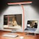 Airlonv LED Desk Lamp for Office Home EyeCaring Desk Light with Stepless Dimming Adjustable Flexible Gooseneck 10W USB Adapter Desk Lamp with Clamp for Reading Study Workbench Orange
