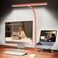 Airlonv LED Desk Lamp for Office Home EyeCaring Desk Light with Stepless Dimming Adjustable Flexible Gooseneck 10W USB Adapter Desk Lamp with Clamp for Reading Study Workbench Orange