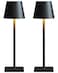 Fizrice Cordless Table Lamp Rechargeable Lamps 6000mAh Battery Operated Table Lamp Outdoor Waterproof Touch Control Portable Wireless Desk Lamp for DinnerBedroomRestaurantBlack 2 Pack