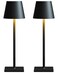 Fizrice Cordless Table Lamp Rechargeable Lamps 6000mAh Battery Operated Table Lamp Outdoor Waterproof Touch Control Portable Wireless Desk Lamp for DinnerBedroomRestaurantBlack 2 Pack