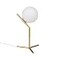 Dellemade Globe Table Lamp TD00965 MidCentury Golden Desk Lamp for BedroomLiving RoomKids RoomOffice