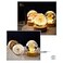 MARZIUS Flower Crystal Ball Night Light 24 inch Glass Ball Night Lamp with Woodern Base Yellow Daisy