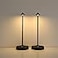 maglaw Rechargeable Cordless Table Lamp3000mAh Battery Operated Table lampPortable LED Touch 2 Levels Brightness Dimmable Bar LampBattery Powered Lamp for BarsRestaurantLiving Room2 Pack