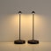 maglaw Rechargeable Cordless Table Lamp3000mAh Battery Operated Table lampPortable LED Touch 2 Levels Brightness Dimmable Bar LampBattery Powered Lamp for BarsRestaurantLiving Room2 Pack