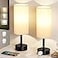 Fenmzee Bedside Table Lamps Set of 23 Color Temperatures Pull Chain Lamp with AC Outlet Charging Port Small Round Night Stand Lamps for Bedroom Guest Room Office Bed Side Light with E26 LED Bulbs