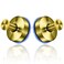 YOHOM Suction Cup Hooks for Shower Bathroom Cup Wall for Inside Vacuum Windows 2 Golden 2 Golden