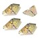 YIUWLMN 4Pcs Drop Leaf Table Support Folding Table Hinge 180Folding Cross Spring Hinges with Mounting Screws