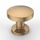 Asidrama 10 Pack Champagne Bronze Kitchen Cabinet Knobs Dresser Knob Drawer Knobs Cabinet Hardware Zinc Knob for Dresser Drawers