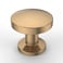 Asidrama 10 Pack Champagne Bronze Kitchen Cabinet Knobs Dresser Knob Drawer Knobs Cabinet Hardware Zinc Knob for Dresser Drawers