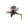 BAMI-LEE House BAMILEE House 4 Pieces Novelty Starfish Shape Door Knobs Drawer Cabinet Cupboard Single Hole Pull Handles Bronze Color