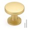 homdiy 25 Pack Gold Cabinet Knobs Solid Zinc Alloy Drawer Knobs Brushed Brass Pulls Modern Cabinet Hardware for Kitchen Cupboard Bathroom Dresser