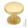 homdiy 25 Pack Gold Cabinet Knobs Solid Zinc Alloy Drawer Knobs Brushed Brass Pulls Modern Cabinet Hardware for Kitchen Cupboard Bathroom Dresser