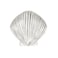 Costello Coastal Knobs Seashell Cabinet Knob Medium Artist Pewter Collection Kitchen Bedroom Living Room Bathroom Cabinets and Drawers Hardware