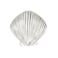 Costello Coastal Knobs Seashell Cabinet Knob Medium Artist Pewter Collection Kitchen Bedroom Living Room Bathroom Cabinets and Drawers Hardware
