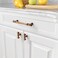 Asidrama 10 Pack Champagne Bronze Kitchen Cabinet Knobs Brushed Brass Gold Cabinet Hardware for Dresser Drawers