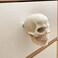 ZILucky 2 Pack Skull Drawer Knobs Cabinet Knobs Drawer Pulls Halloween Home Decor Skeleton Home Decor Witchy Decor 2 Grayish White