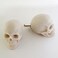 ZILucky 2 Pack Skull Drawer Knobs Cabinet Knobs Drawer Pulls Halloween Home Decor Skeleton Home Decor Witchy Decor 2 Grayish White