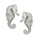 Costello Coastal Knobs Seahorse Cabinet knob Matched Pair Small Brushed Nickel Finish Kitchen Bedroom Living Room Bathroom Cabinets and Drawers Hardware
