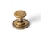 Yanxia Set of 6 Sleek Champagne Bronze Cabinet Knobs Cylindrical Stem Design with Studded Backplate Modern Kitchen Drawer Handles Minimalist Dresser Hardware